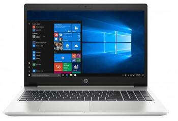 HP ProBook 455 G7 (1L3U0EA)